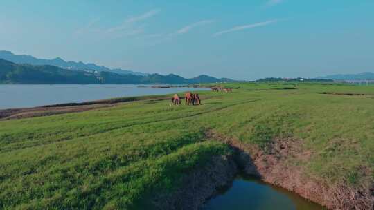 草原河流风景