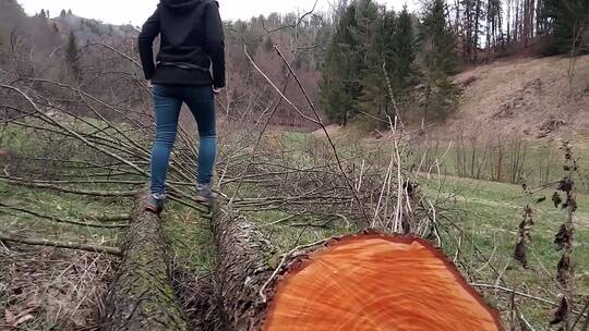 女子走过一棵被砍倒的树视频素材模板下载