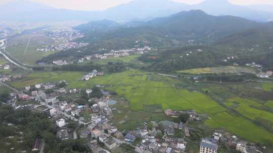 农田 田野 乡下 稻田 水田 粮食 田野