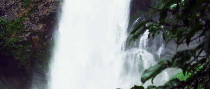 原始森林中的大瀑布落水 树枝前景组镜