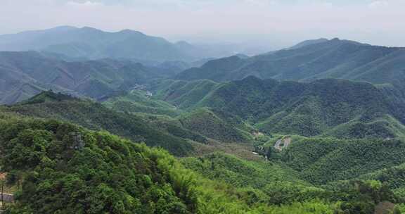 中国浙江杭州径山竹山竹林竹海大气治愈