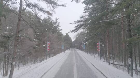 唯美大气长白山红松林美人松雪景林间穿梭