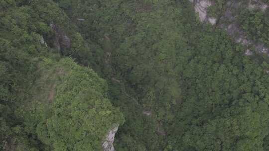 湖南湘西户外高山森林自然风光航拍