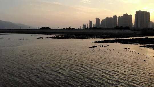 航拍福建漳州港海湾房地产开发日落风光