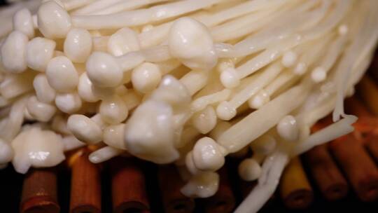 健康食材金针菇蘑菇菌菇