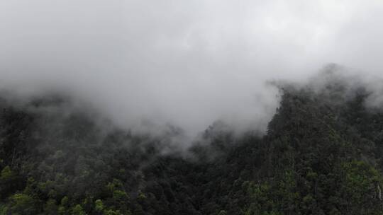 大山里的云雾缭绕