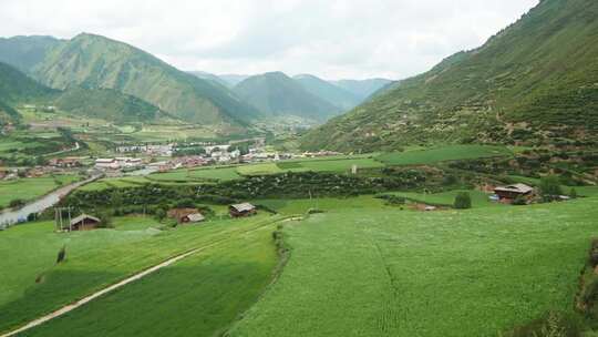 高原村庄田园森林风景