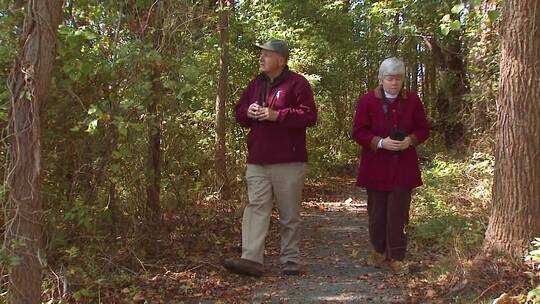 一对老年夫妇漫步在野生动物保护区视频素材模板下载