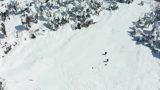 冬季浙江临安百丈岭雪景风光4K航拍