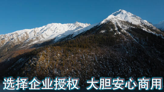 雪山视频青藏高原蓝天下雪山森林