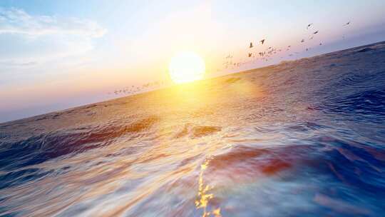 4K 海鸥在大海自由飞翔慢动作