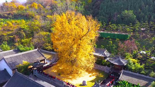 航拍古观音禅寺