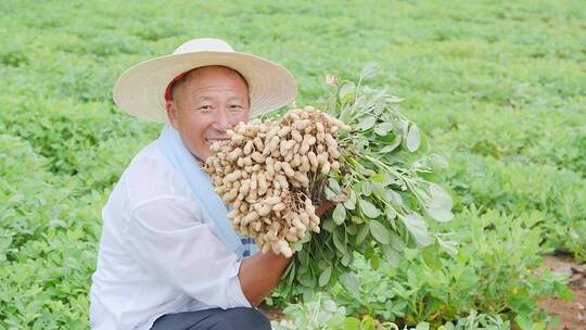 花生种植基地