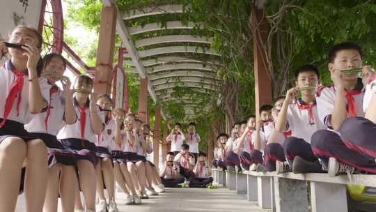 学校六一小学中学校园生活学生时代