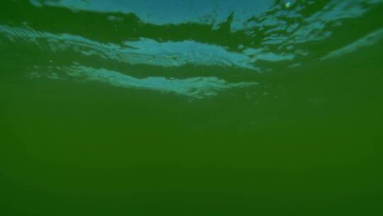 水污染素材 绿色的水波