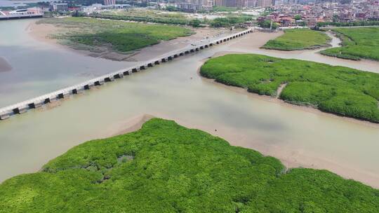 福建洛阳桥石桥泉州文化古迹万安桥四大名桥