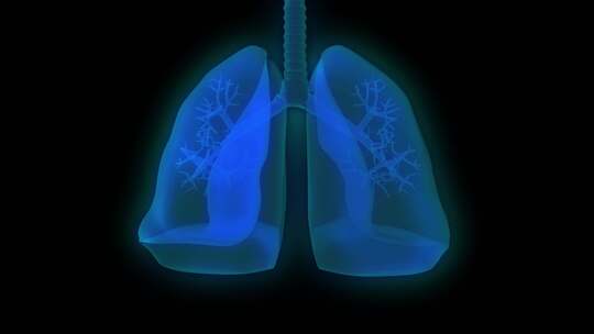 人体肺部吸入病毒动画带通道视频素材模板下载