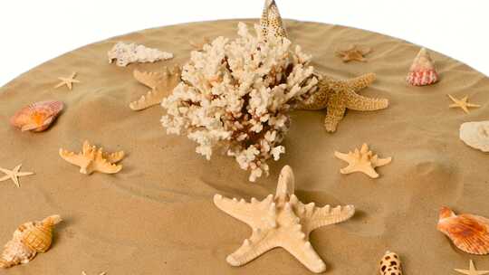贝壳，沙，海滩，珊瑚，旋转