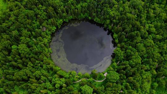 原始密林中的圆形湖泊