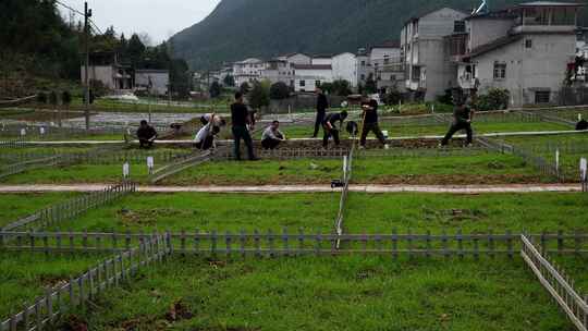 劳动空镜刨土锄地农场工人耕作劳作翻土