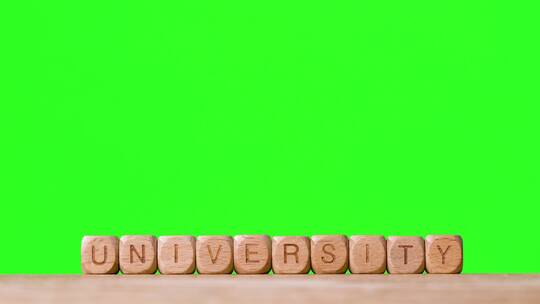 绿幕背景前的UNIVERSTY木制字母块视频素材模板下载
