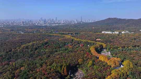 江苏南京中山陵灵山风景区音乐台秋色航拍