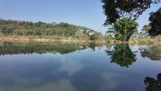 冬天郴州西河风光带河流河水古树风光3