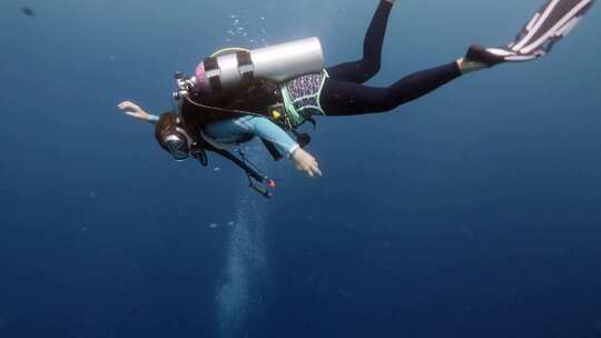 深海潜水海底生物视频素材模板下载