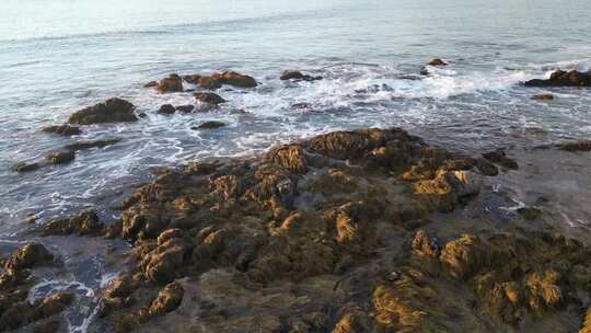 海浪、海藻、海浪拍打礁石