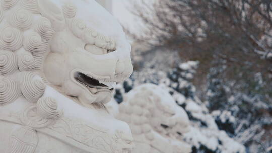 辽宁沈阳冬季古建筑舍利塔公园雪景风景