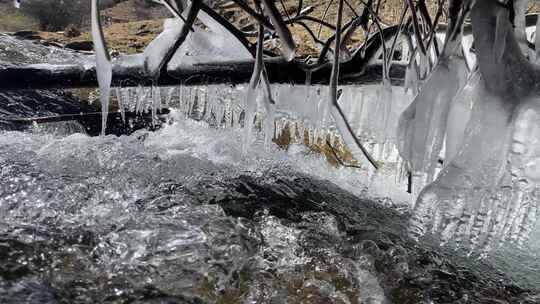 冰雪融化溪水从树干冰柱流淌