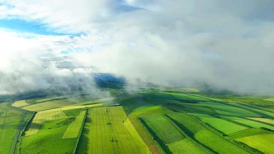 广袤田野被云雾环绕的壮丽景象