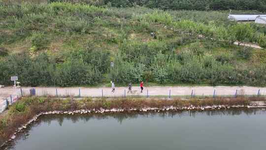 航拍 航拍东北 东北航拍 北方 风景