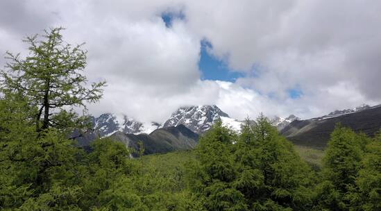 梅里雪山穿过树林航拍