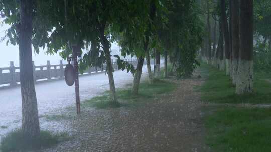 暴雨 大雨 下雨 雨水