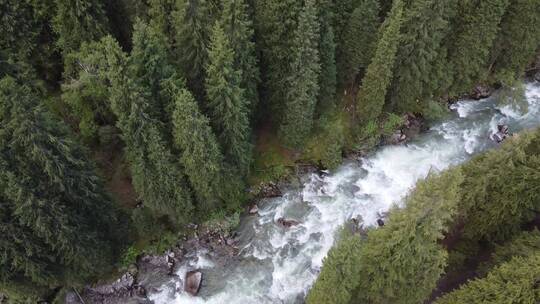 航拍新疆伊犁乌孙古道河流雪山森林绝美风光