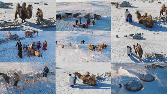 【10条合集】蒙古族民俗传统文化-48高清在线视频素材下载