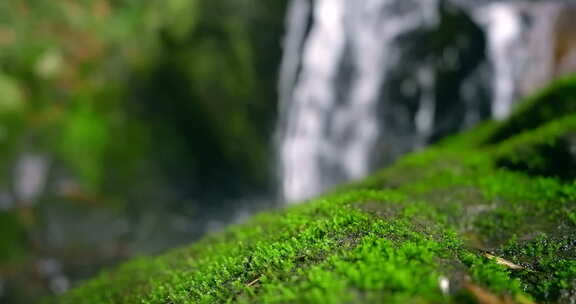 大自然  春天 瀑布 山泉 苔藓 