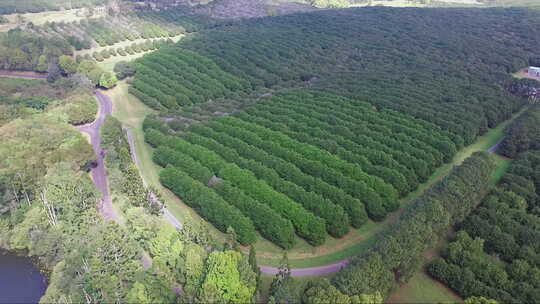 新南威尔士州拜伦湾大型农场和澳大利亚农田