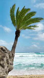 海滩上的棕榈树与海洋背景
