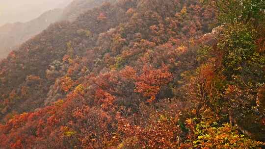 北京秋天司马台长城群山红叶大气宣传片