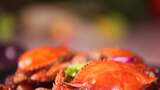 网红美食肉蟹煲青蟹梭子蟹 高清在线视频素材下载