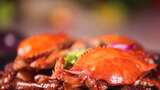 网红美食肉蟹煲青蟹梭子蟹 高清在线视频素材下载