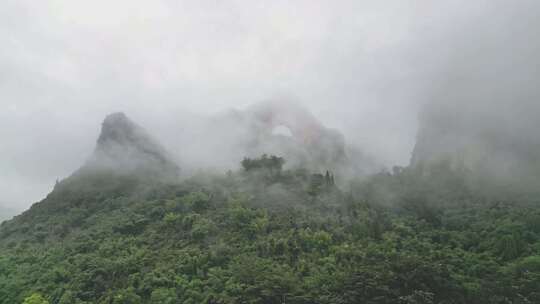 雾气笼罩的茂密山林全景