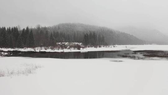 有小屋的松林里的草原雪