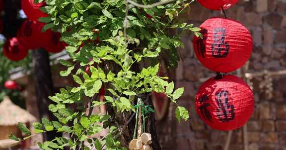 树上悬挂的福字红灯笼