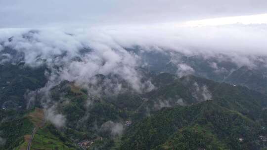 大雾清晨云雾大山云海森林自然云山脉山区