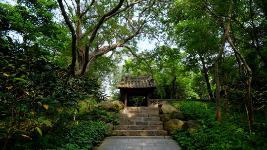 广州 越秀公园 古建筑 中式 园林 庭院 门楼