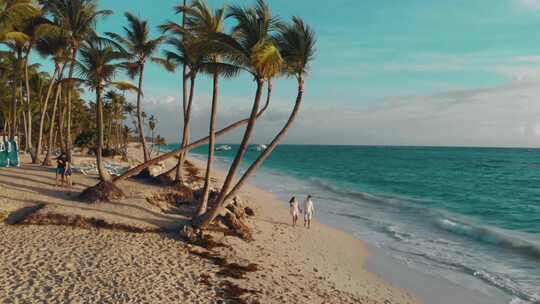 4k风景旅行情侣在海边椰树度假行走视频素材模板下载
