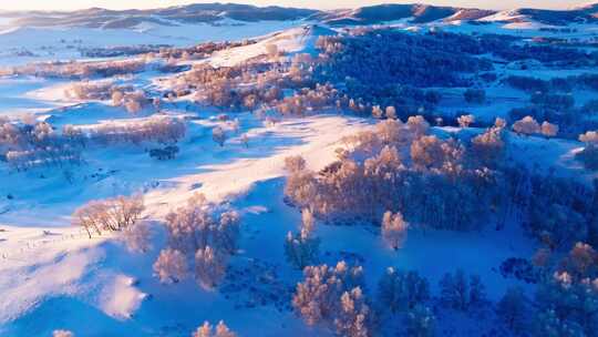 冬季乌兰布统绝美雾凇雪林雪景